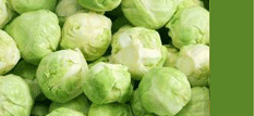 Brussel Sprouts