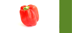 Red Pepper